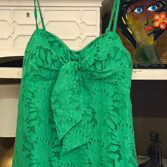 Lilly Pulitzer sz 2 Sarahlynne maxi dres stacked palm burnout fabric - Picture 7 of 7